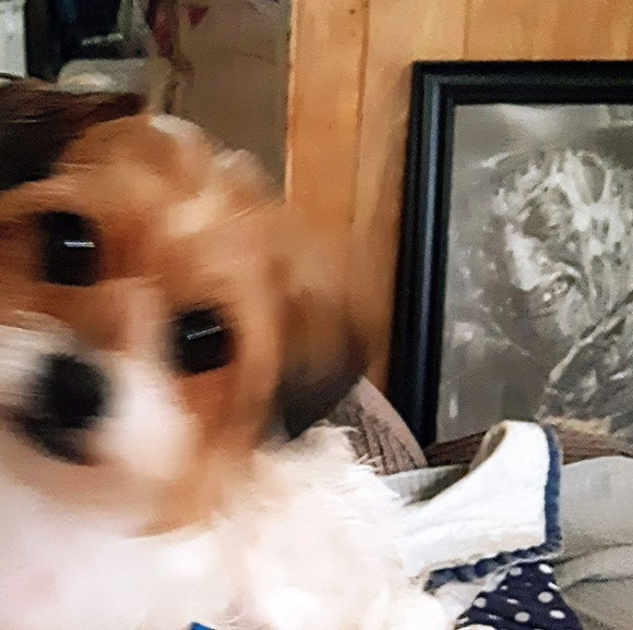 Meet your Posher, Mari - Picture 1 of 1